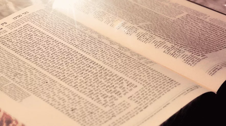 שיעורי תורה דברי תורה ספרי קודש התורה שיעורי תורה בית המדרש הגדולהקדושה קדושים תהיו