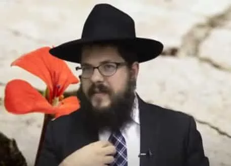זוגיות הרב שניאור אשכנזי 1