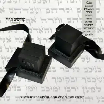 תפילין מהודרים